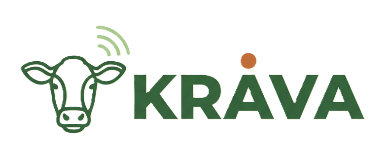 Krava