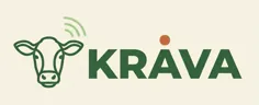 Krava